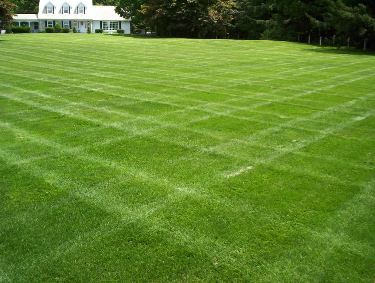 The Best Lawn Mowing Service   